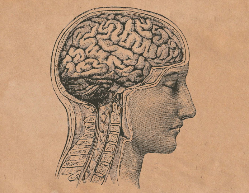 Research on LRRK2 gene mutations in patients with Lewy Body Dementia